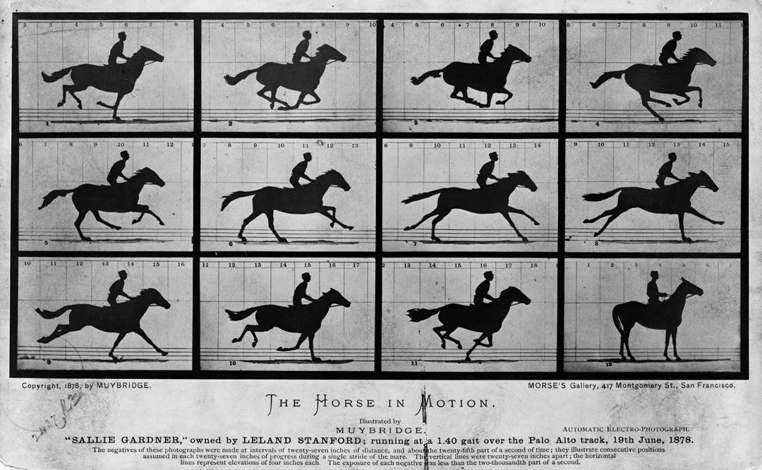اسب در حال حرکت ادوارد مایبریج Eadweard Muybridge
