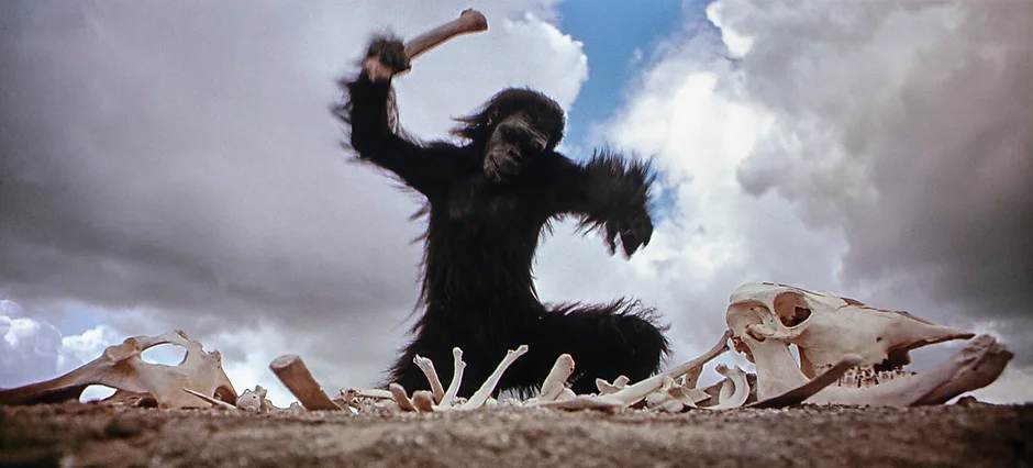 میمونی که از استخوان در حکم سلاح استفاده می‌کند
